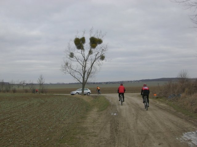 CTF Osterweddingen 2009 038